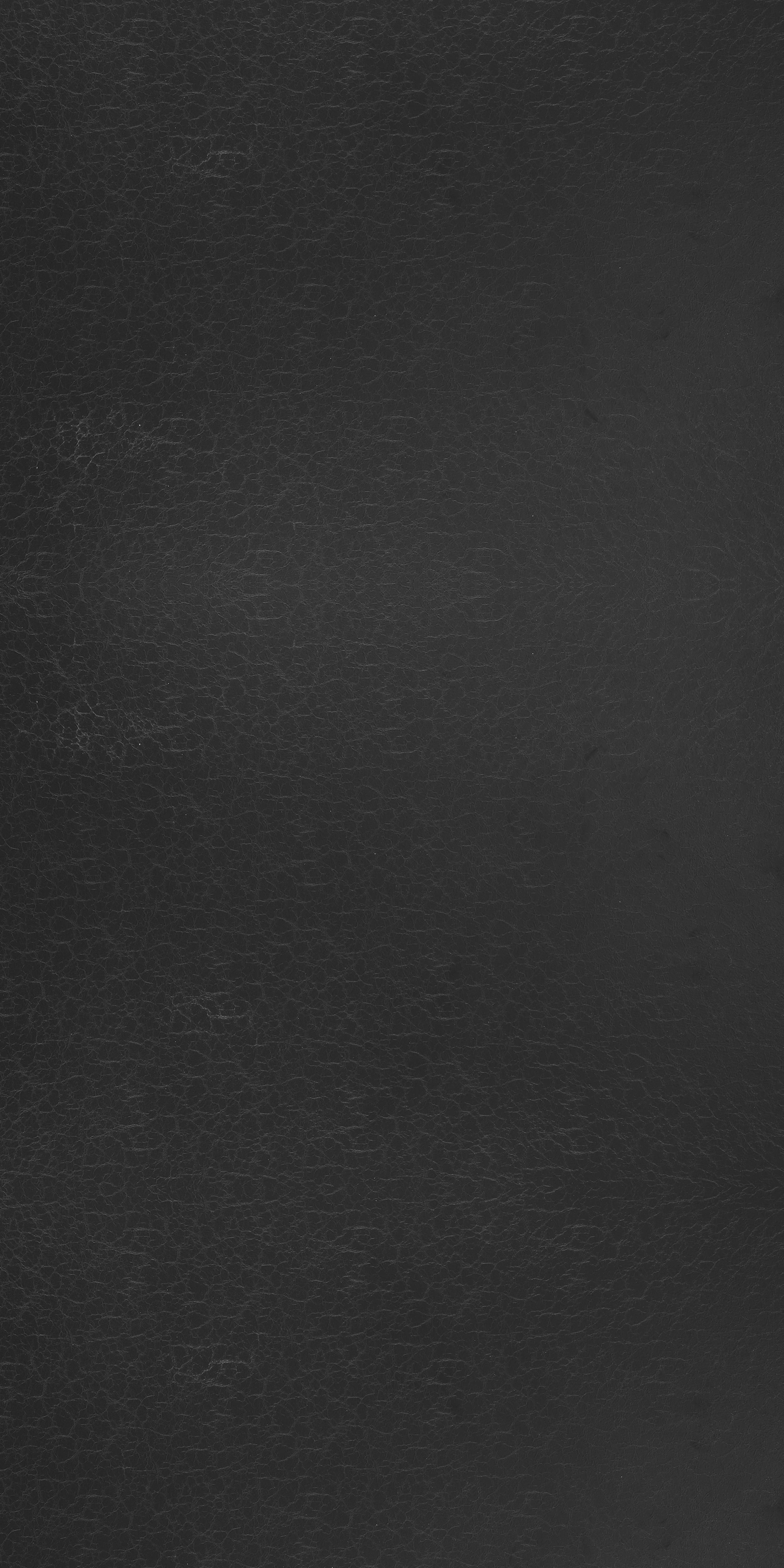 A19