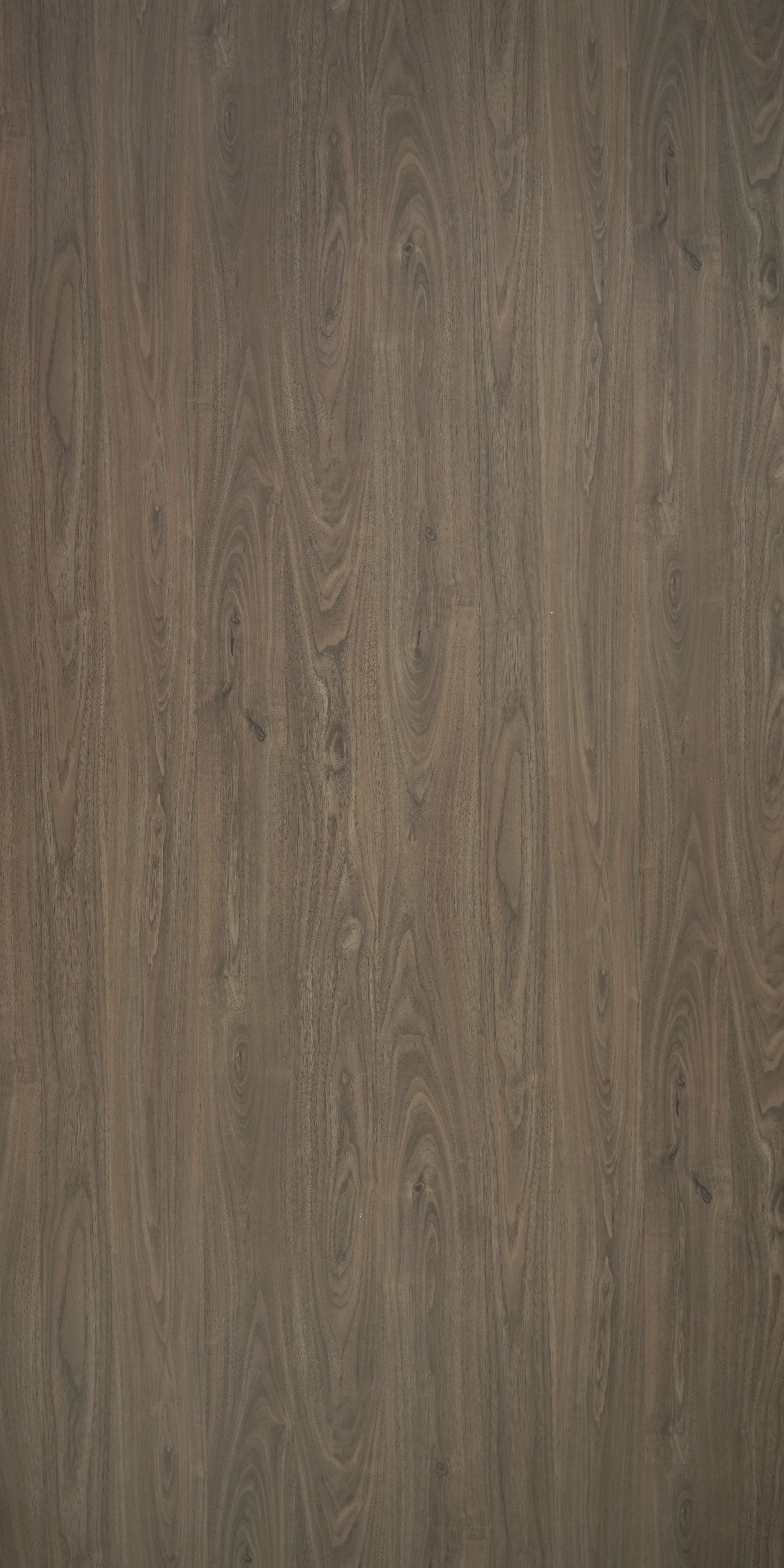 F6401 A6