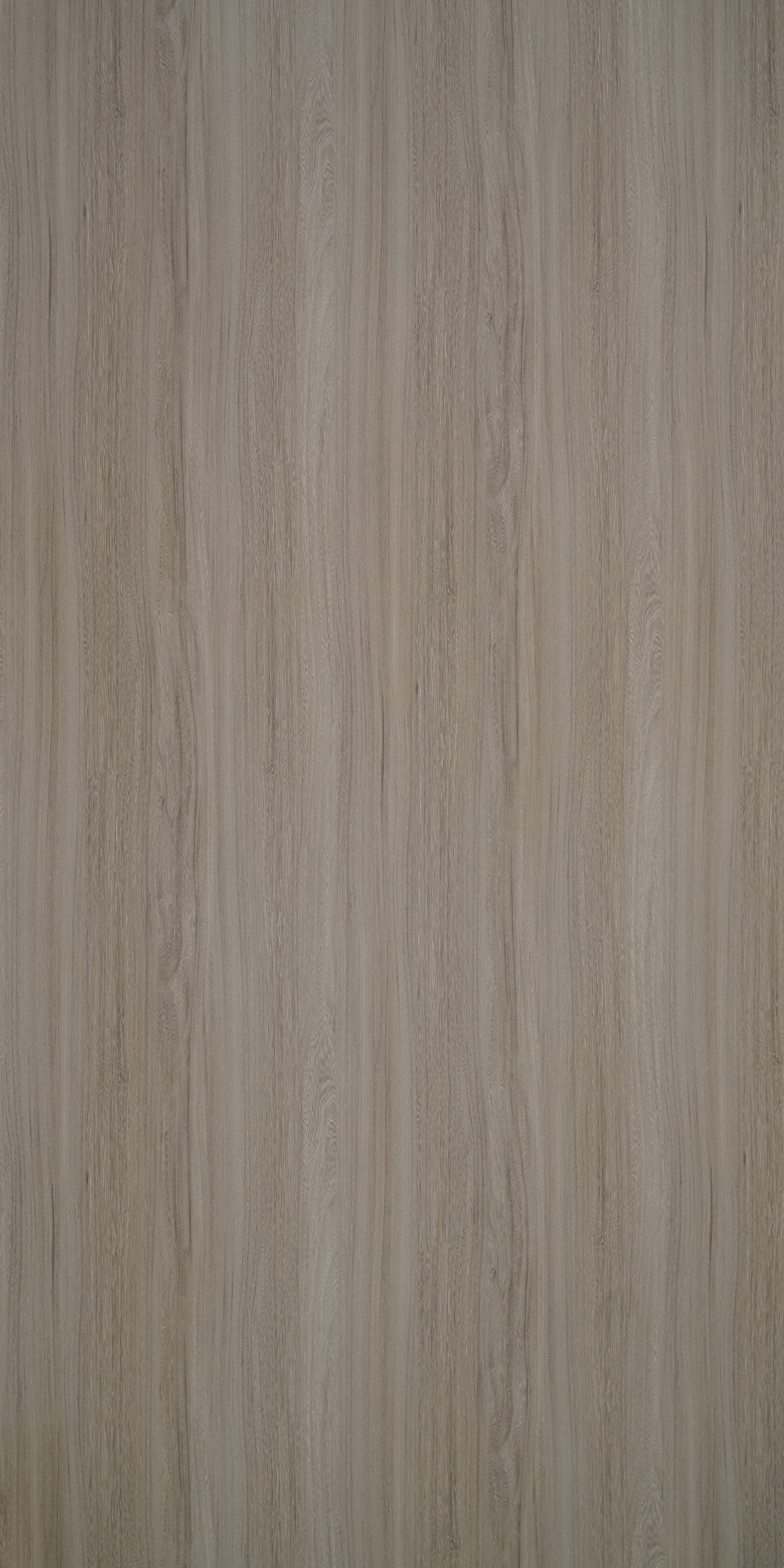 F6404 NT