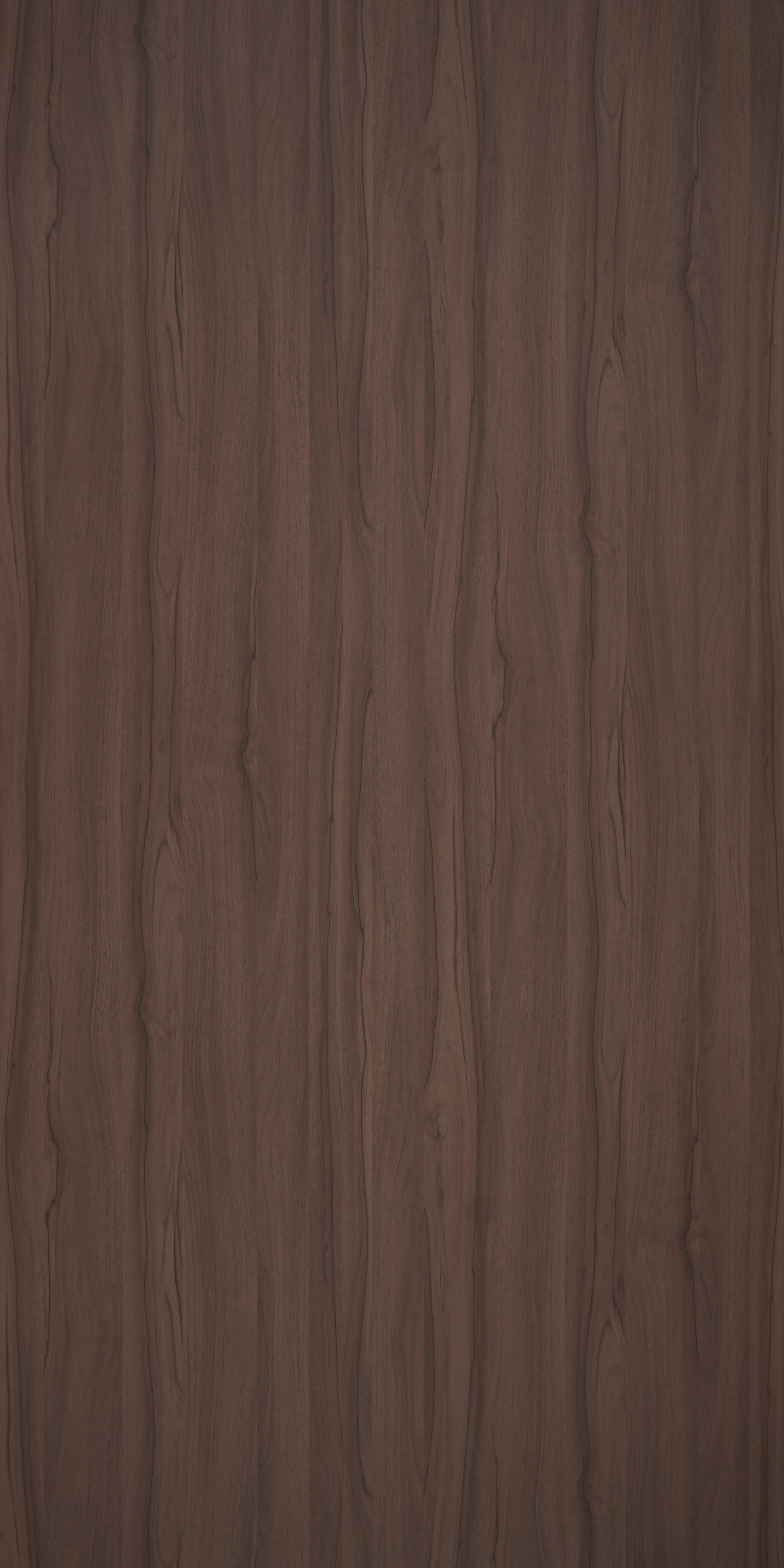 F5487 NT