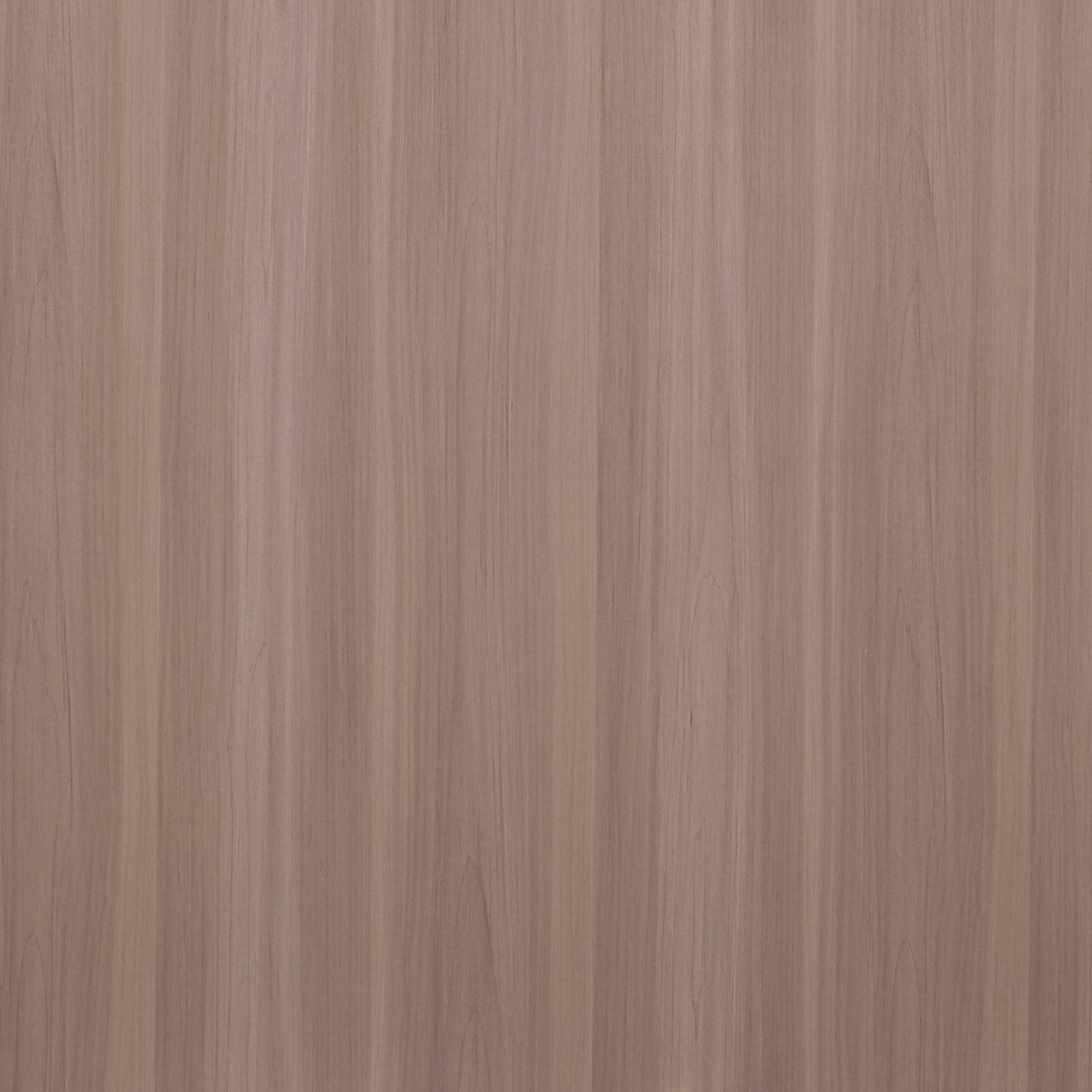 4371-4 ZW1 M800